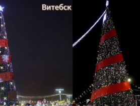«Лучшая ёлка Беларуси»: как один щелчок превратил голосование в пустую трату времени